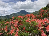 ロープウエイ下から蓼科山を望む